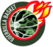 Guerrilla Basketball Agency